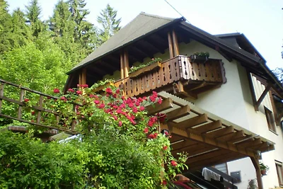 Appartamento Vacanza con famiglia Freiburg