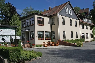 Vakantieappartement Gezinsvakantie Clausthal-Zellerfeld