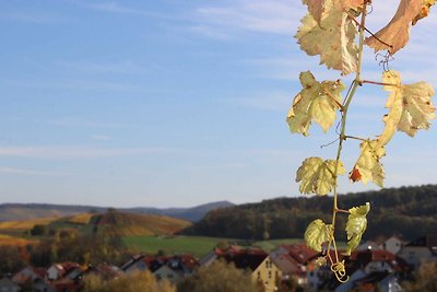 Vakantieappartement Gezinsvakantie Lehrensteinsfeld