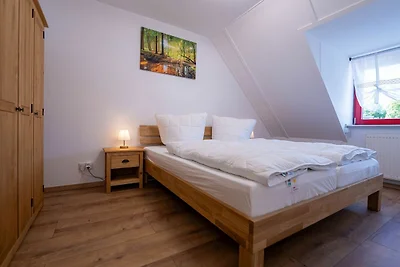 Albergo Cultura ed escursioni Wendisch Rietz