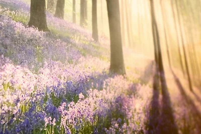 Villa Eintracht Whg. 16 mit Südbalkon