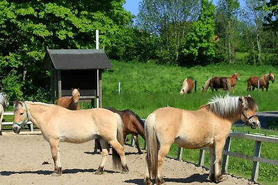 Ferienwohnung Friesenstube