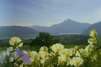Appartamento Vacanza con famiglia Mondsee