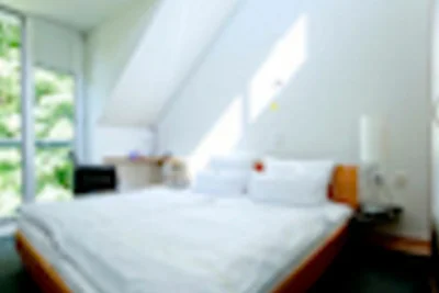 Albergo Cultura ed escursioni Ettlingen