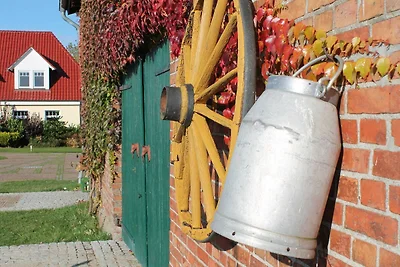 Appartamento Vacanza con famiglia Kühlungsborn