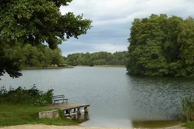 Appartamento Vacanza con famiglia Wustrow (Ostsee)