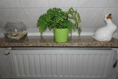 Vakantieappartement Gezinsvakantie Rauenstein