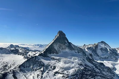 Castor und Pullux