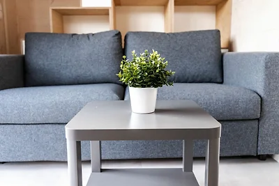 Tiny House 2 Dünenblick Freest