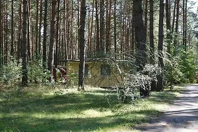 Bungalow B 1