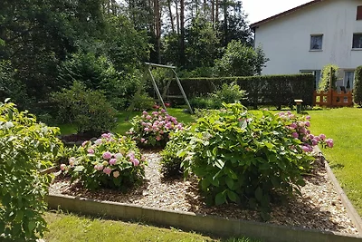 Ferienwohnung 4 - 68066