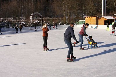 Appartamento Vacanza con famiglia Bad Harzburg