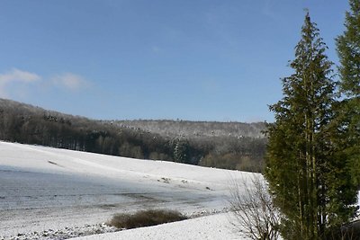 Appartamento Vacanza con famiglia Höchst im Odenwald