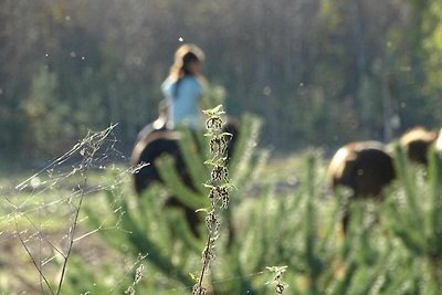 Appartamento Vacanza con famiglia Elsterheide