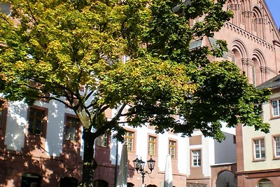 Appartamento Vacanza con famiglia Mainz-Laubenheim