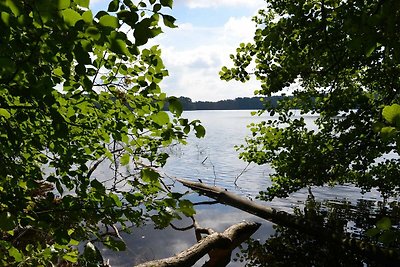 Ferienwohnung Dreetzsee