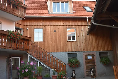 Vakantieappartement Gezinsvakantie Modautal