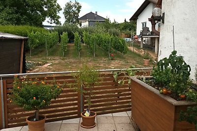 Vakantieappartement Gezinsvakantie Michelstadt