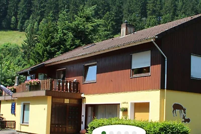 Vakantieappartement Gezinsvakantie Wildemann