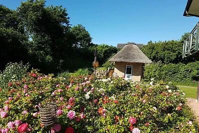 Vakantieappartement Gezinsvakantie Nordhastedt