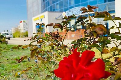 Hotel cultural and sightseeing holiday Hoyerswerda