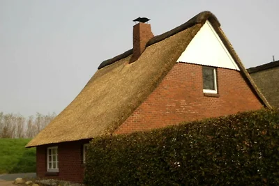 Vakantiehuis Ontspannende vakantie Balje