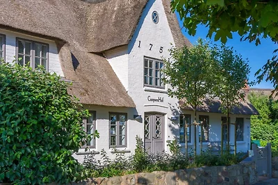 Vakantiehuis Ontspannende vakantie Witsum