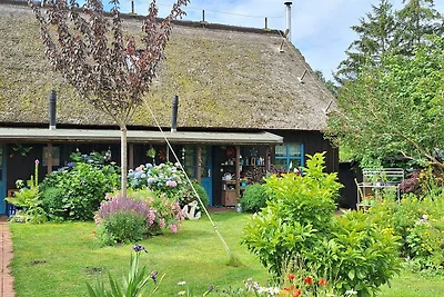 Appartamento Vacanza con famiglia Saal in Vorpommern