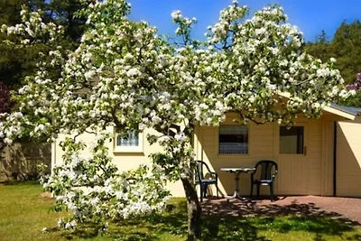 Holzhäuschen am Waldesrand