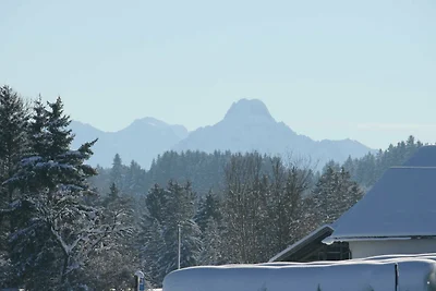 Wiesenblick