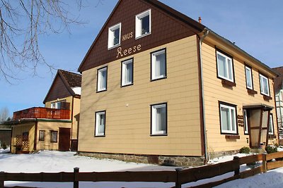 Vakantieappartement Gezinsvakantie Buntenbock