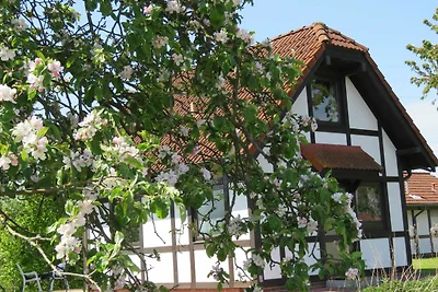Albergo Cultura ed escursioni Hollern-Twielenfleth
