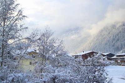 Appartamento Vacanza con famiglia Mayrhofen