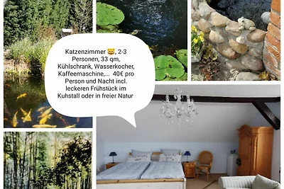 Doppelzimmer Katzenzimmer, 1.OG