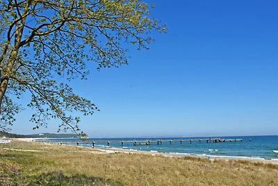 11 schöne 2-Raum-Fewo, Strandlage mit...