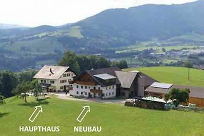 Ferienwohnung Mondseeblick