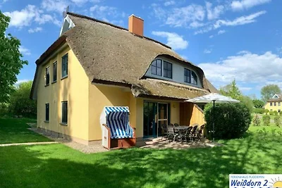 Albergo Cultura ed escursioni Poseritz