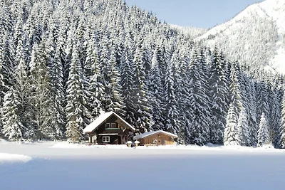 Vakantiehuis Ontspannende vakantie Pertisau