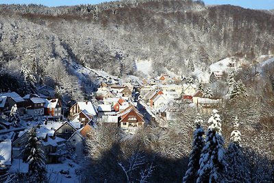 Vakantieappartement Gezinsvakantie Osterode