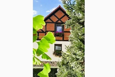 FW Landperle ID16227