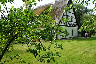 Vakantieappartement Gezinsvakantie Altenkirchen