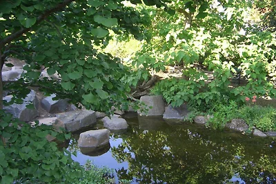 Vakantieappartement Gezinsvakantie Kindenheim