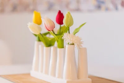 Ferienwohnung Auszeit mit Waldgeflüster