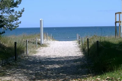 Ferienhaus Ostsee Strandhaus Seerobbe