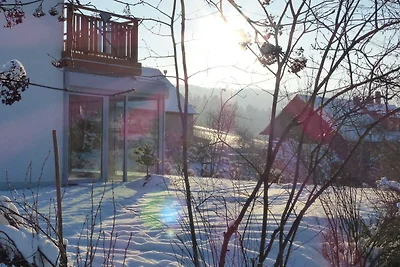 Apartament Dla rodzin Ahorntal