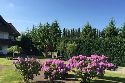 Vakantieappartement Gezinsvakantie Sankt Andreasberg