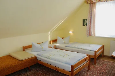 Vakantieappartement Gezinsvakantie Sellin