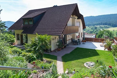 Vakantieappartement Gezinsvakantie Laudenbach