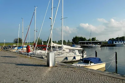 Ferienhaus Lachmöwe