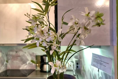 Ferienpark - Haus C, App.